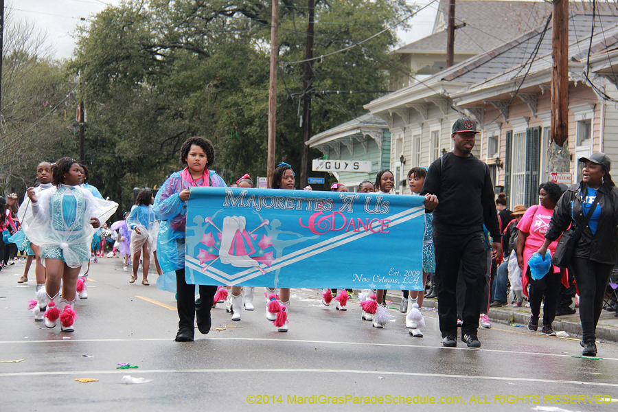 2014-Krewe-of-King-Arthur-11054