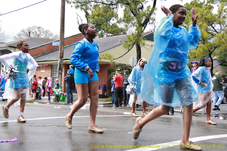 2014-Krewe-of-King-Arthur-11056
