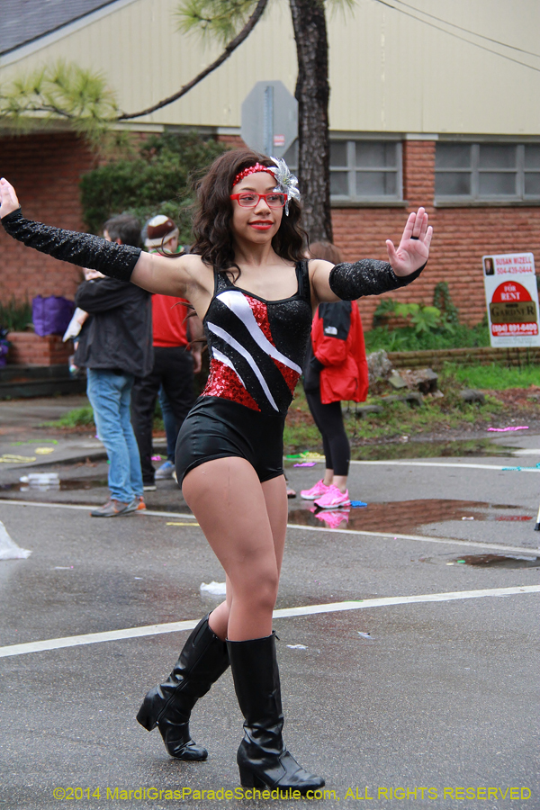 2014-Krewe-of-King-Arthur-11069