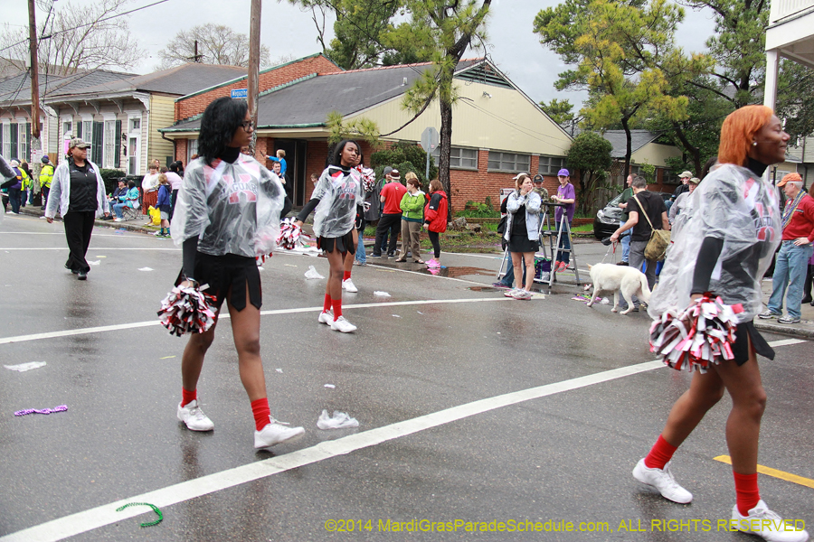 2014-Krewe-of-King-Arthur-11071
