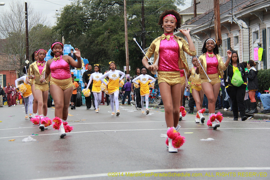 2014-Krewe-of-King-Arthur-11077