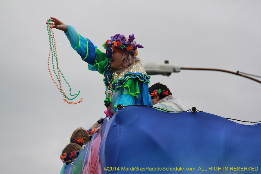 2014-Krewe-of-King-Arthur-11096