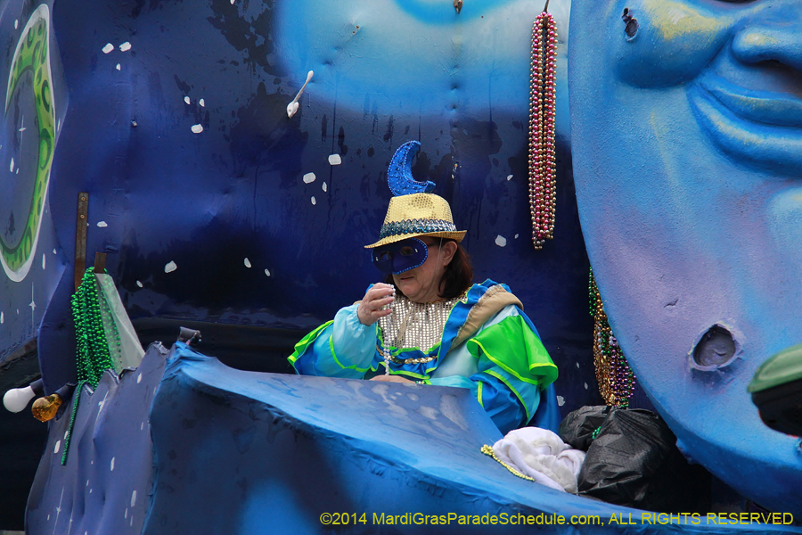 2014-Krewe-of-King-Arthur-11113