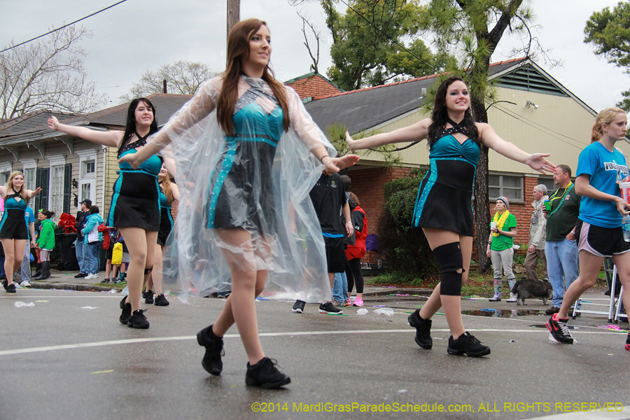 2014-Krewe-of-King-Arthur-11122