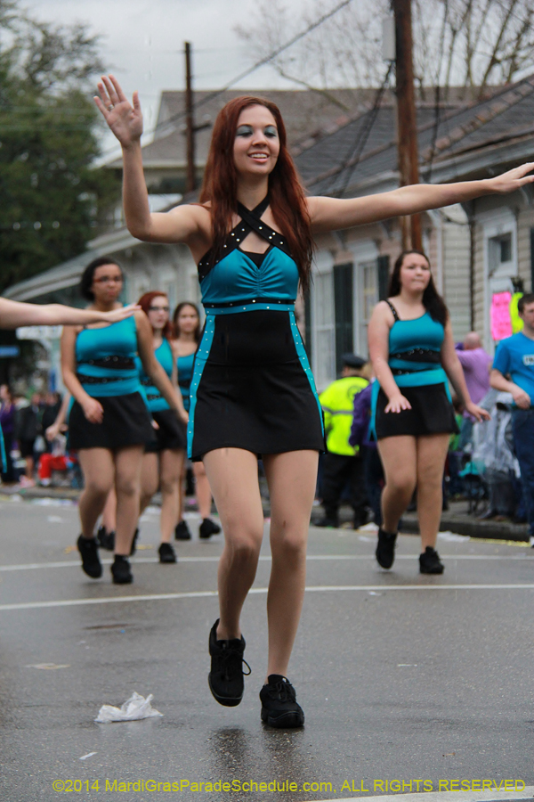 2014-Krewe-of-King-Arthur-11123