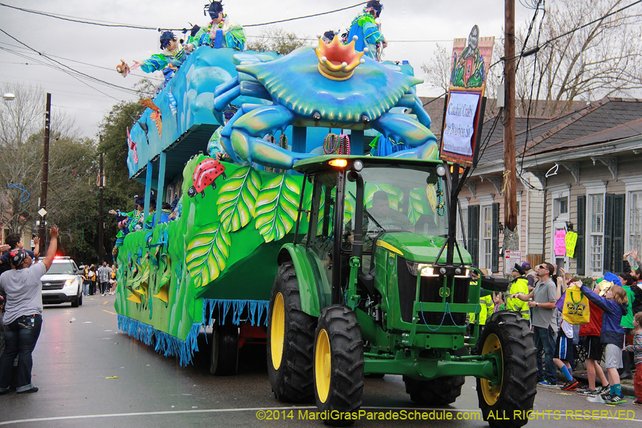 2014-Krewe-of-King-Arthur-11125
