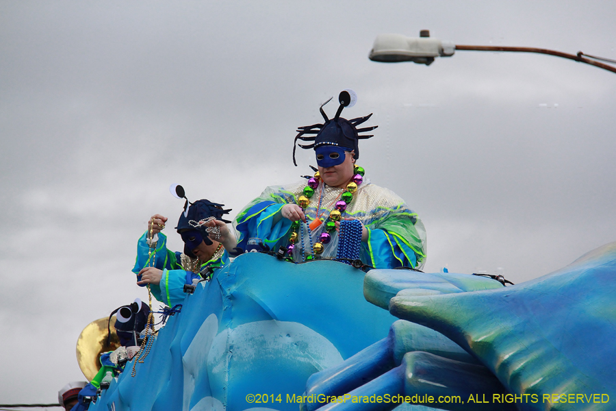 2014-Krewe-of-King-Arthur-11126