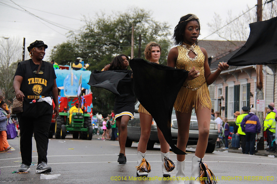 2014-Krewe-of-King-Arthur-11147