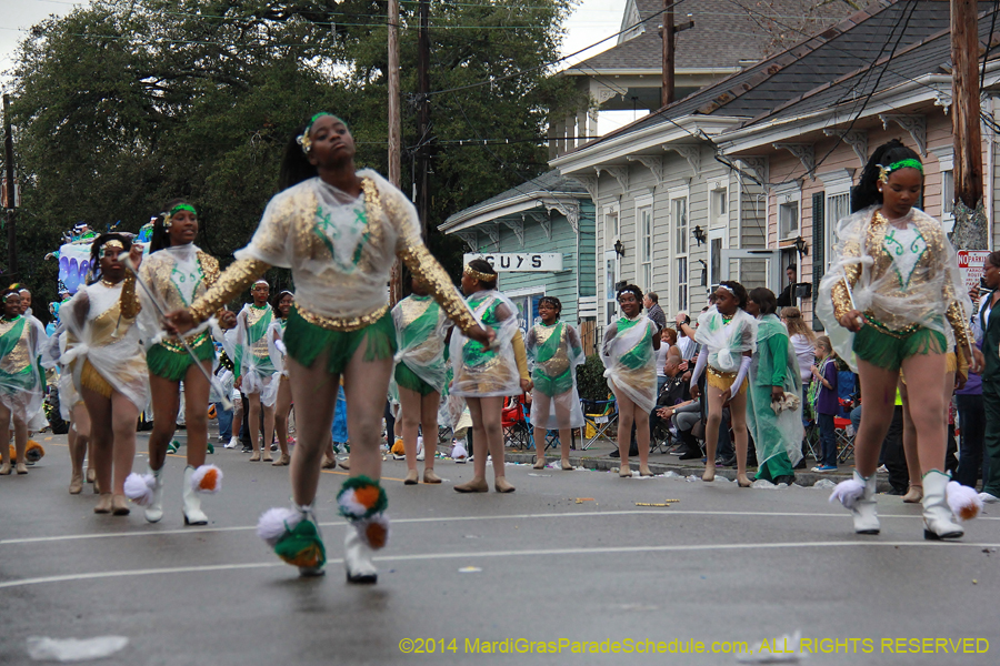 2014-Krewe-of-King-Arthur-11155