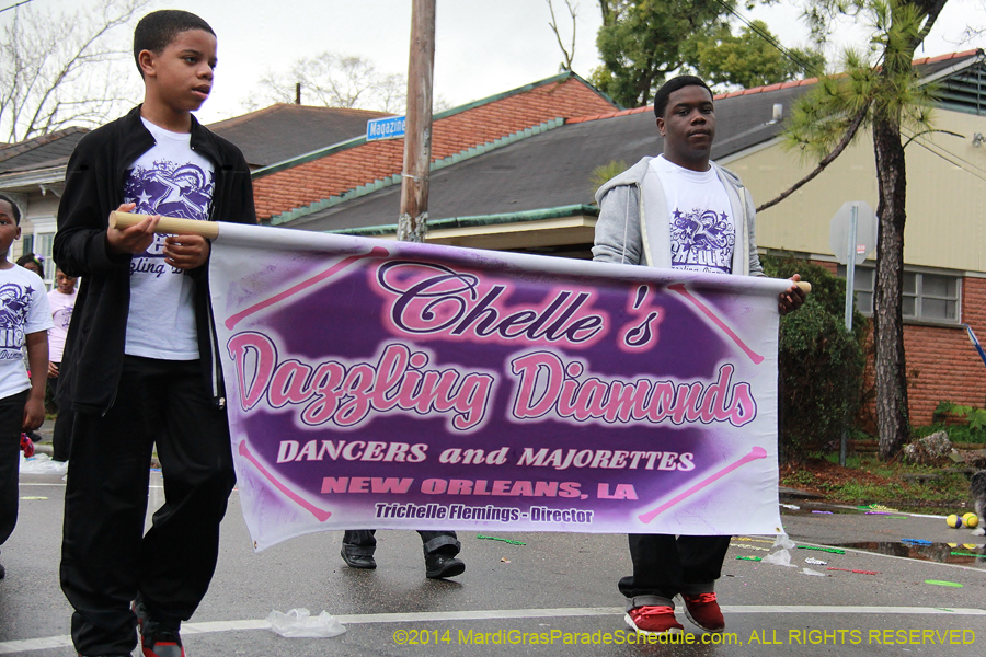 2014-Krewe-of-King-Arthur-11186