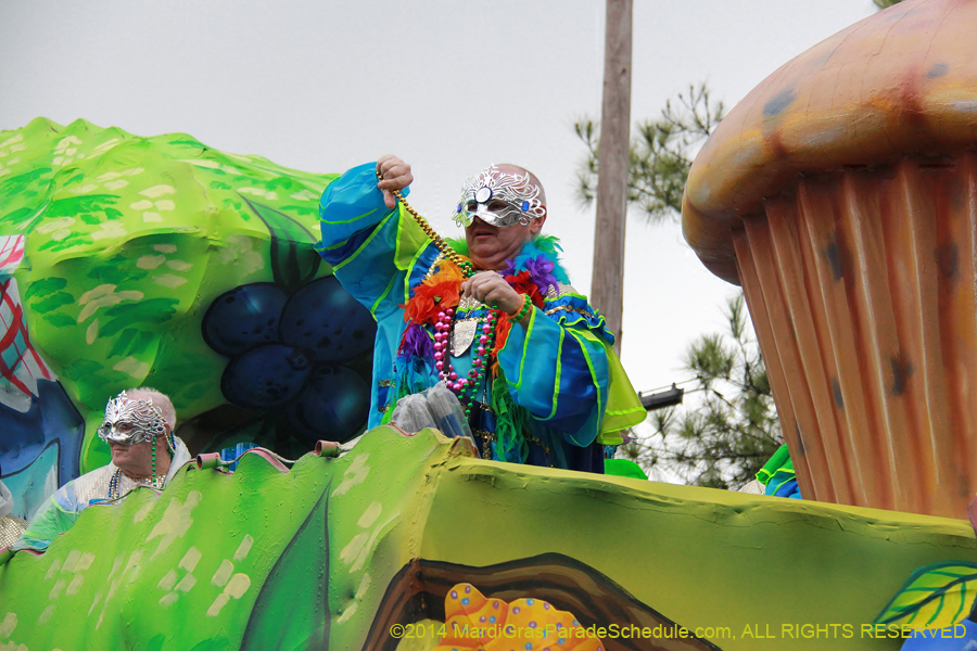 2014-Krewe-of-King-Arthur-11213