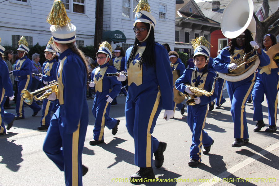 Krewe-of-King-Arthur-2015-12190
