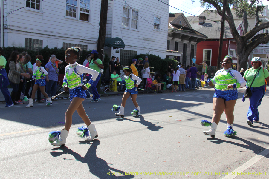 Krewe-of-King-Arthur-2015-12197