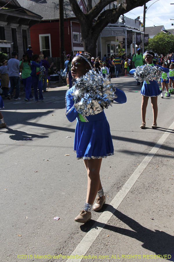 Krewe-of-King-Arthur-2015-12198