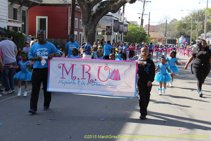 Krewe-of-King-Arthur-2015-12206