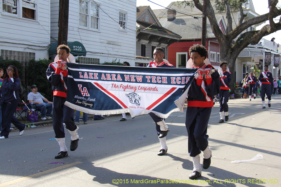 Krewe-of-King-Arthur-2015-12211