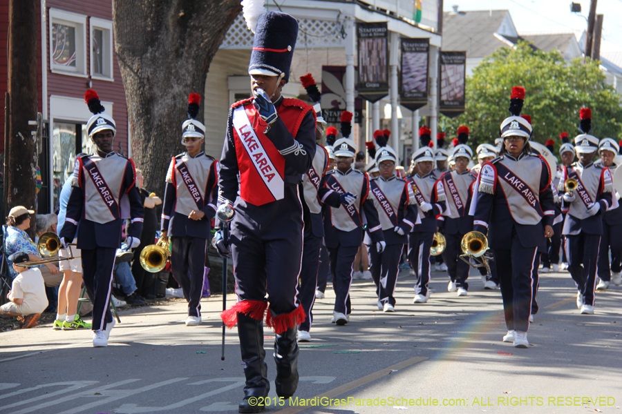 Krewe-of-King-Arthur-2015-12213