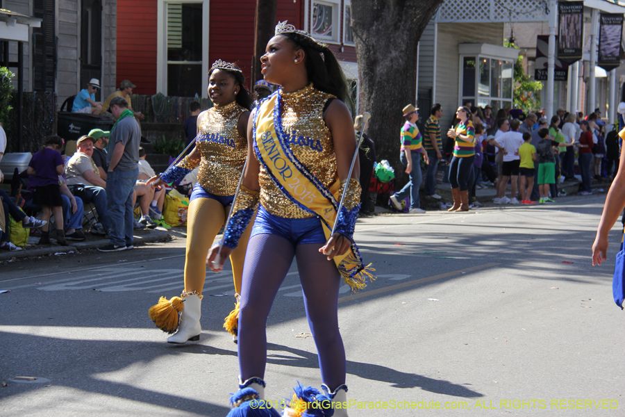 Krewe-of-King-Arthur-2015-12221