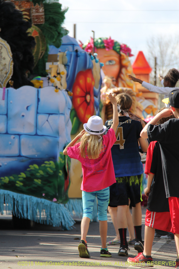 Krewe-of-King-Arthur-2015-12226