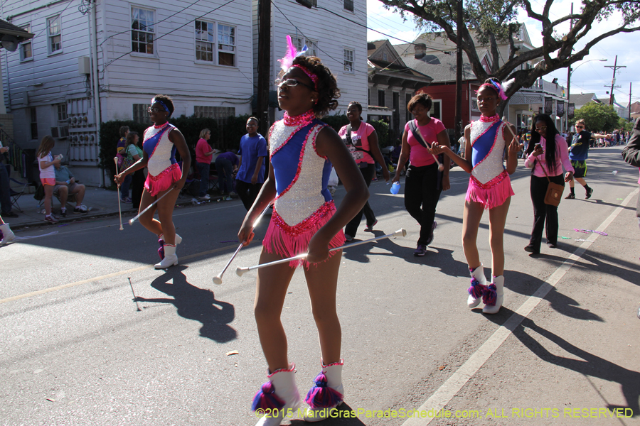 Krewe-of-King-Arthur-2015-12235