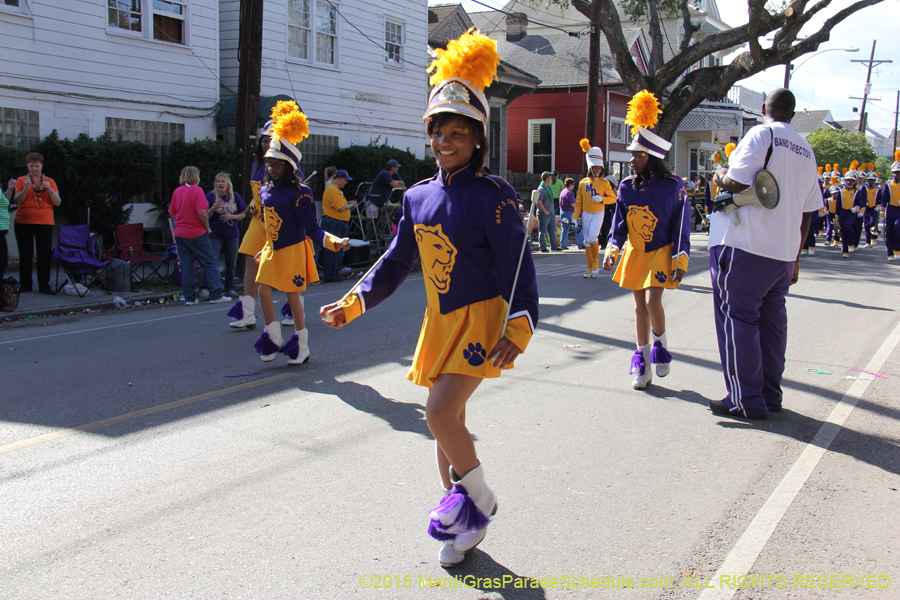 Krewe-of-King-Arthur-2015-12247