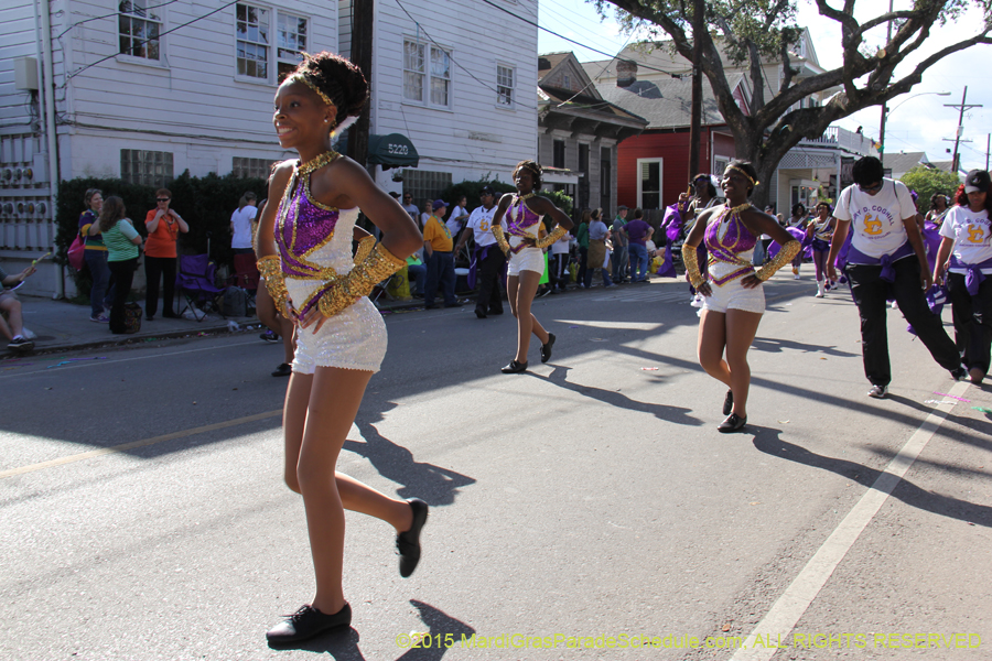 Krewe-of-King-Arthur-2015-12250
