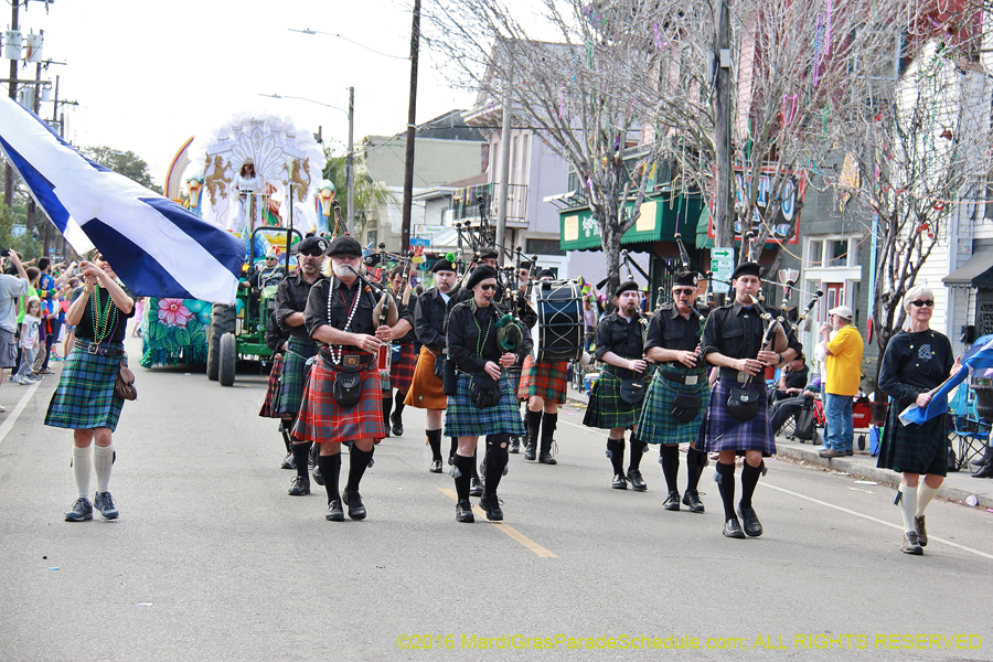 2016-Krewe-of-King-Arthur-003891