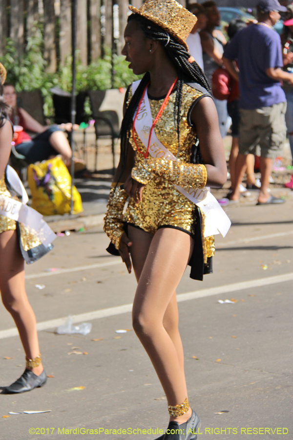 Krewe-of-King-Arthur-2017-04504