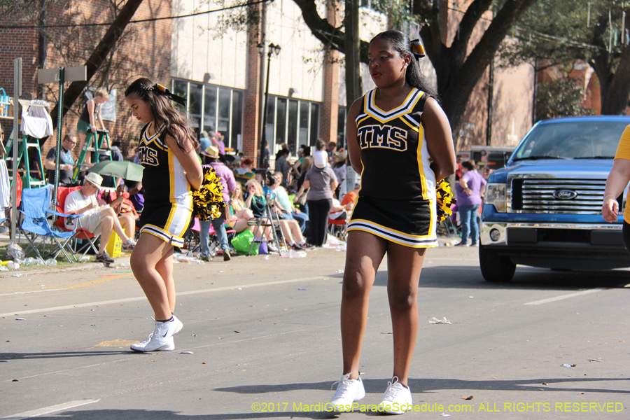Krewe-of-King-Arthur-2017-04508
