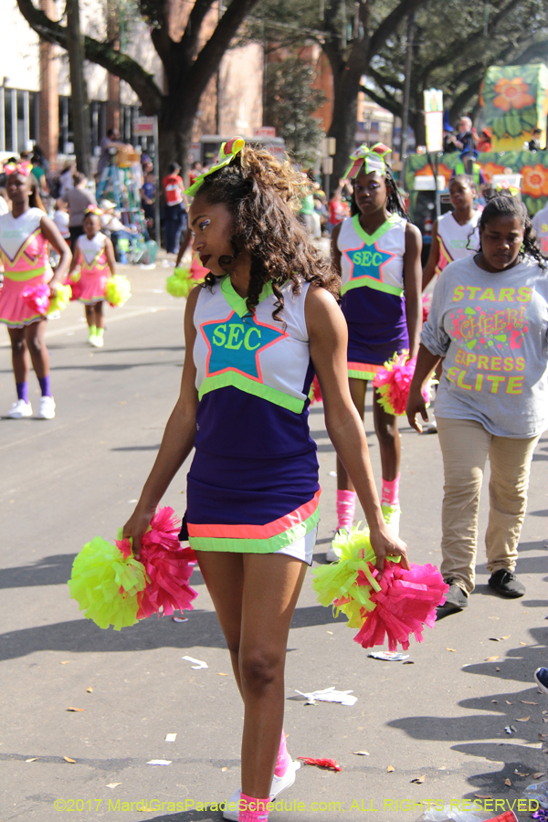 Krewe-of-King-Arthur-2017-04510