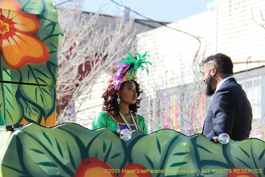 2018-Krewe-of-King-Arthur-00002882