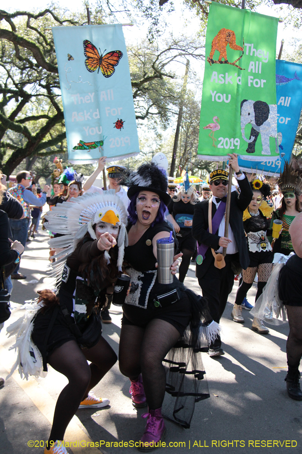 Krewe-of-King-Arthur-2019-003290