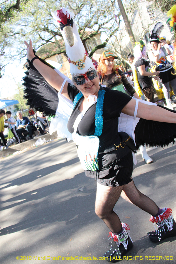 Krewe-of-King-Arthur-2019-003300