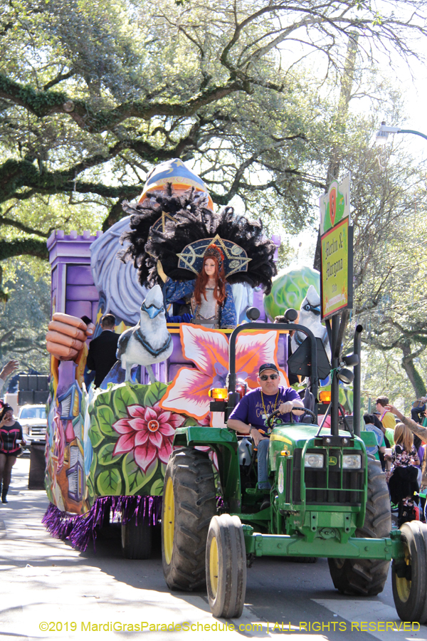 Krewe-of-King-Arthur-2019-003303