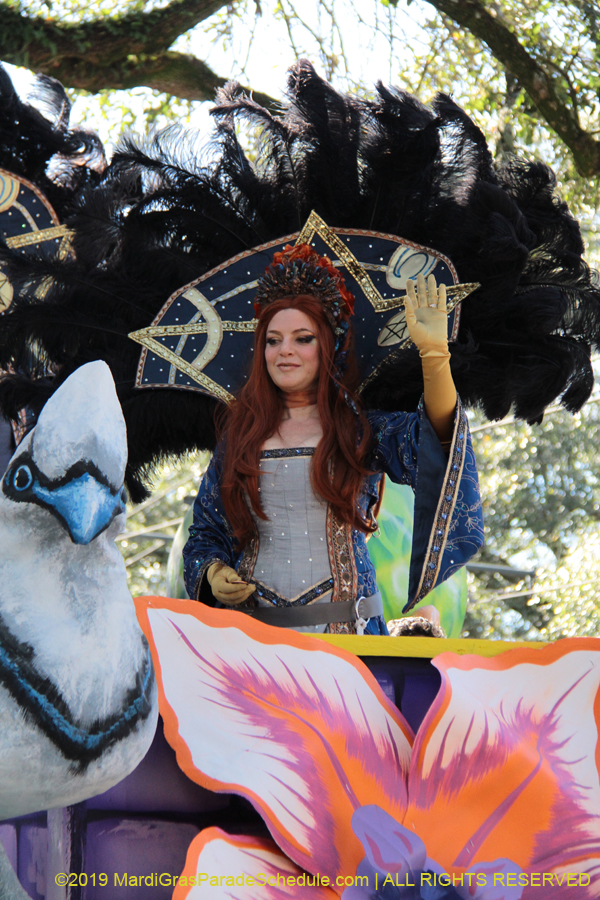 Krewe-of-King-Arthur-2019-003304