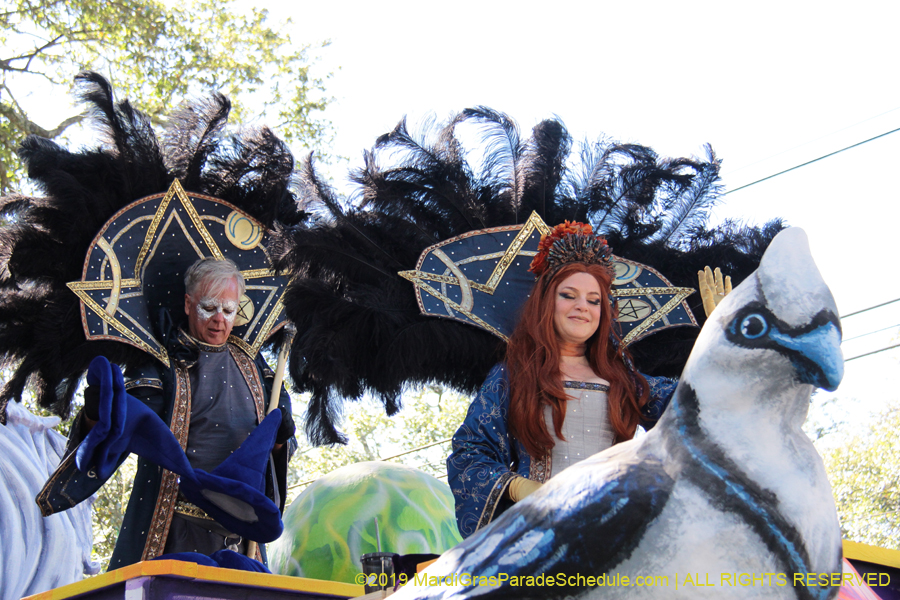 Krewe-of-King-Arthur-2019-003305