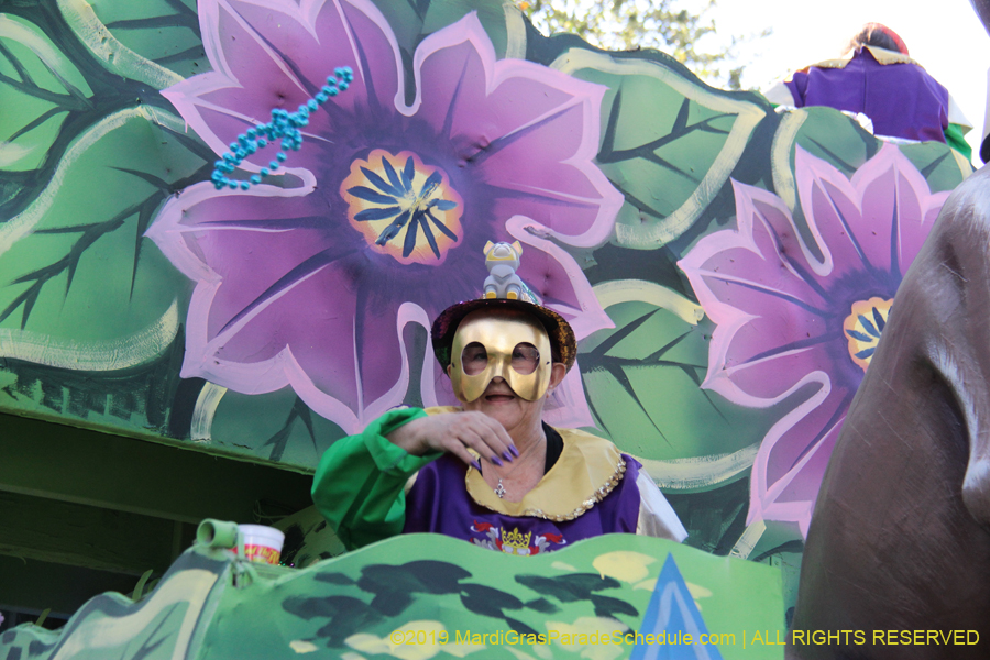 2019 the Krewe of King Arthur Parade presents "And the Arthur Goes To