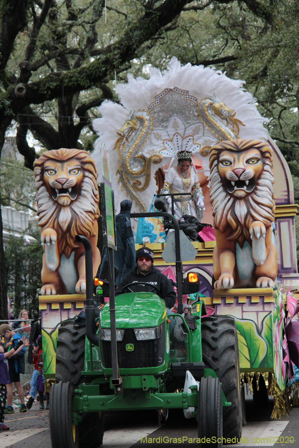 Krewe-of-King-Arthur-2020-03728
