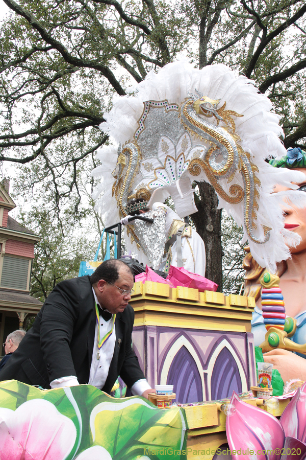 Krewe-of-King-Arthur-2020-03730