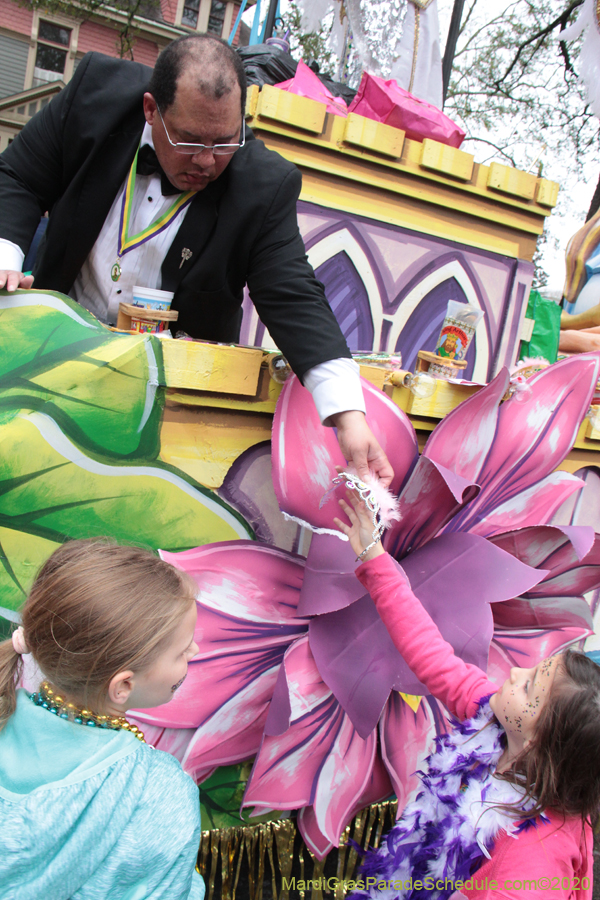 Krewe-of-King-Arthur-2020-03731