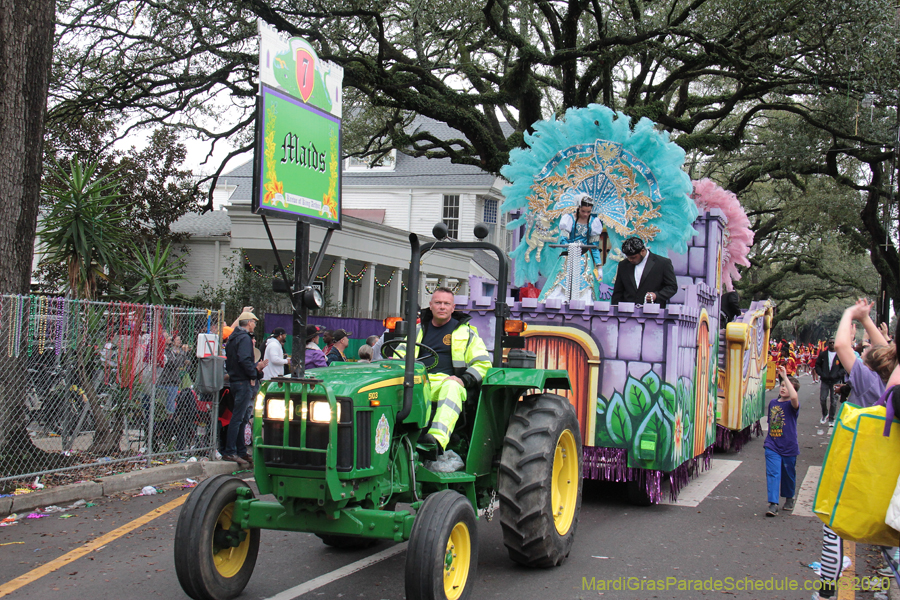 Krewe-of-King-Arthur-2020-03748