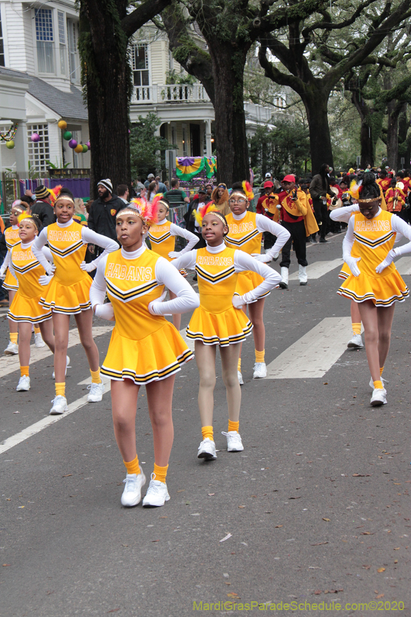 Krewe-of-King-Arthur-2020-03753