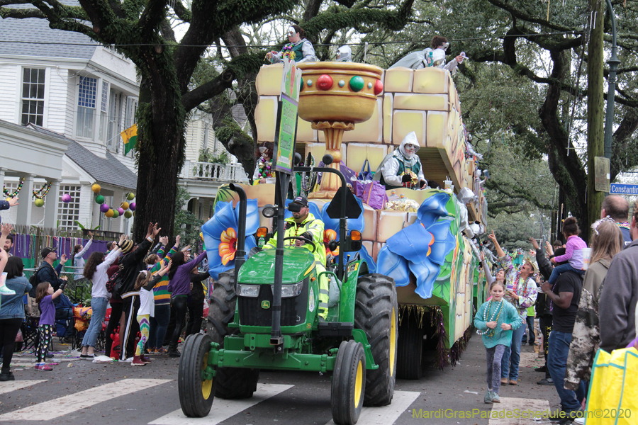 Krewe-of-King-Arthur-2020-03773