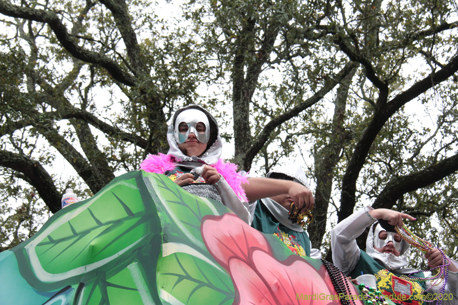 Krewe-of-King-Arthur-2020-03802