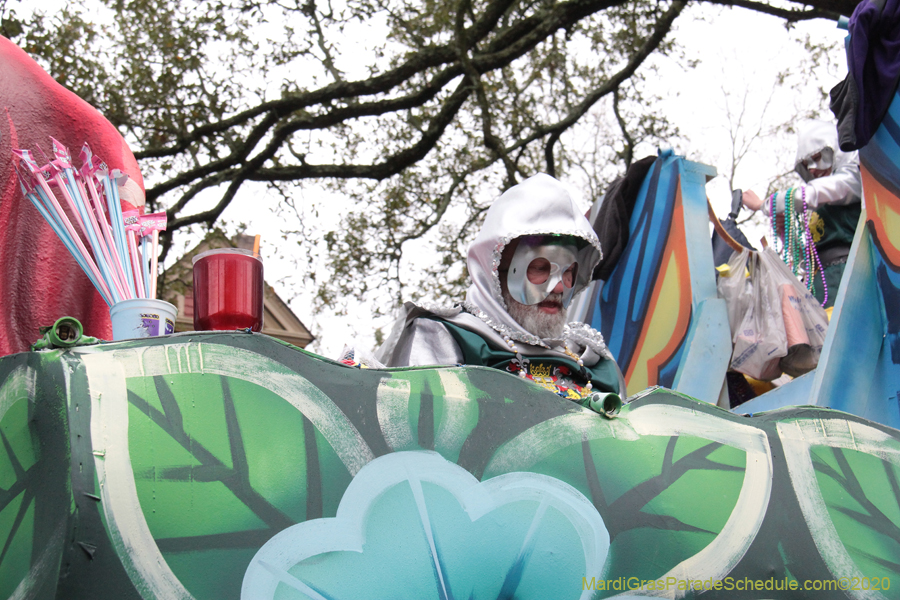 Krewe-of-King-Arthur-2020-03821