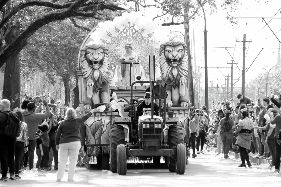 Krewe-of-King-Arthur00021-2022