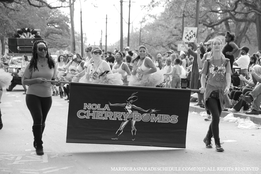 Krewe-of-King-Arthur00023-2022