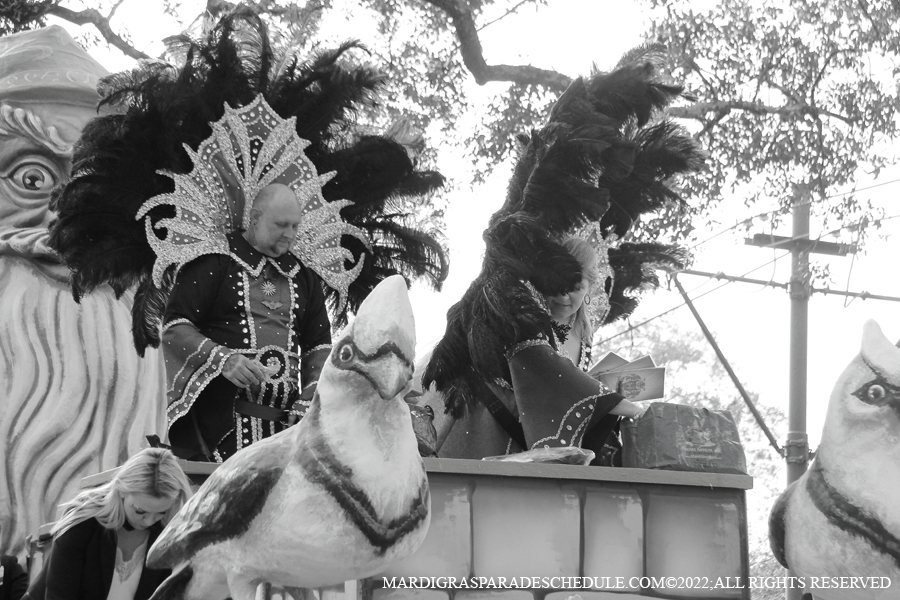Krewe-of-King-Arthur00041-2022
