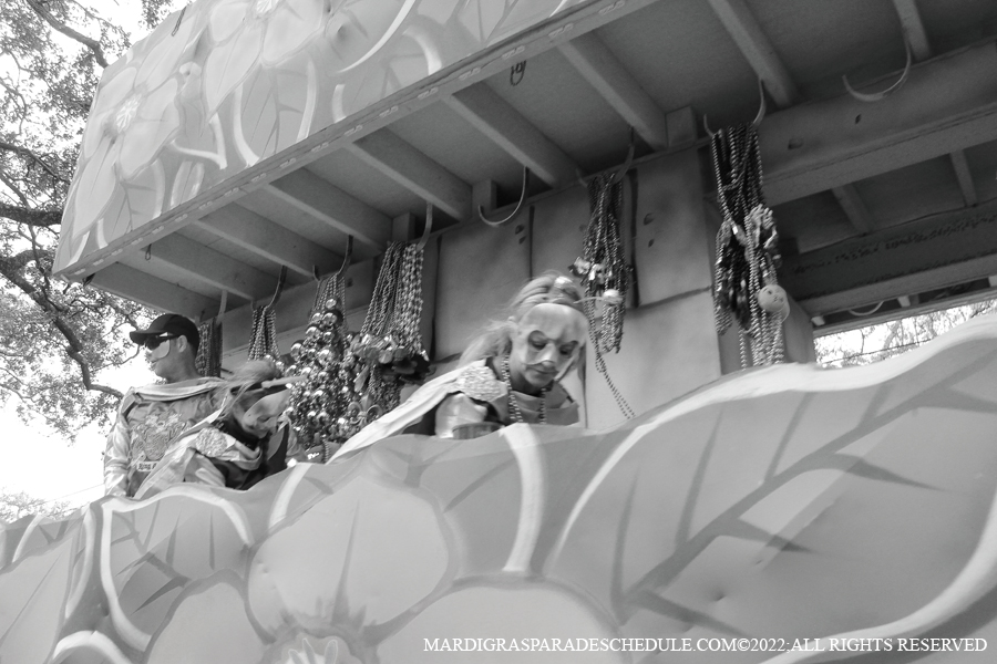 Krewe-of-King-Arthur00083-2022