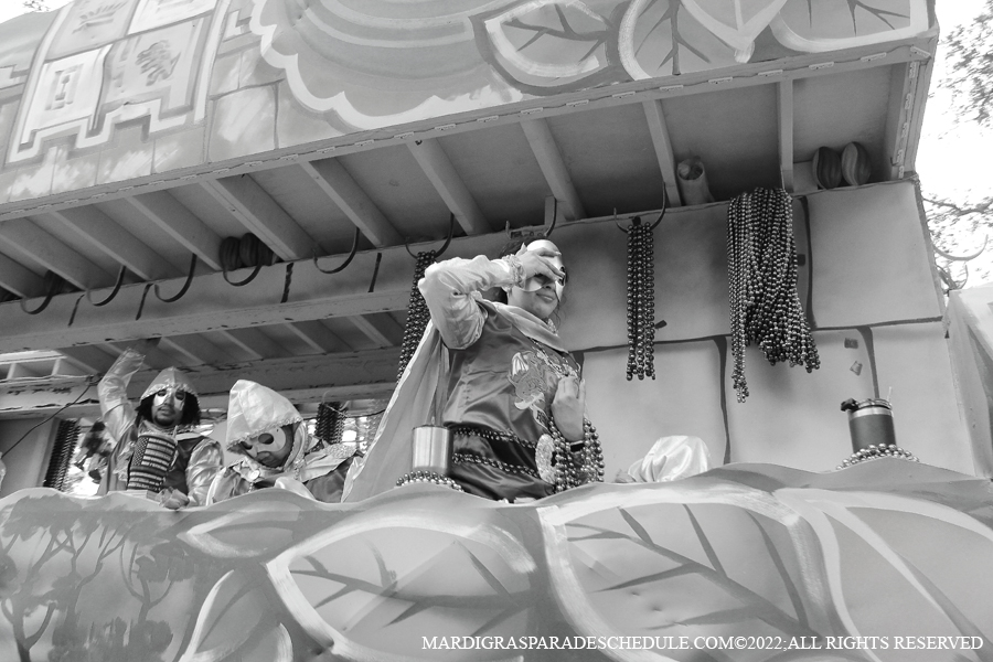 Krewe-of-King-Arthur00098-2022